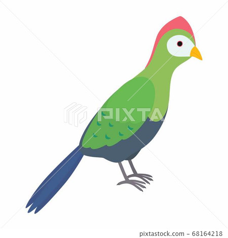 Green turaco bird. Vector illustration isolated on white background. 68164218