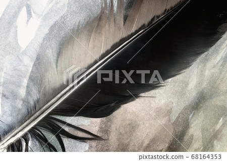 A bird's feather on a multicolored background 68164353