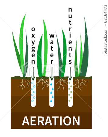Lawn aeration process vector illustration. Concept of lawn grass care, gardening service, benefits of aeration. Water, air and fertilizer having easy access to soil Lawn aeration process vector illustration. Concept of lawn grass care, gardening service, benefits of aeration. Water, air and fertilizer having easy access to soil 68164472