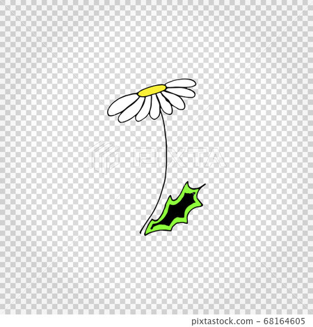 Chamomile. Flower icon. Simple colored hand drawn illustration. Isolated vector 68164605