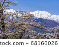 [長野縣]北雪阿爾卑斯山和櫻花大町市 68166026