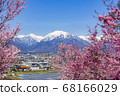 [長野縣]北雪阿爾卑斯山和櫻花大町市 68166029