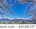 [長野縣]北雪阿爾卑斯山和櫻花大町市 68166197
