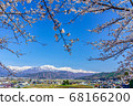 [長野縣]北雪阿爾卑斯山和櫻花大町市 68166200