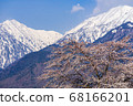 [長野縣]北雪阿爾卑斯山和櫻花大町市 68166201