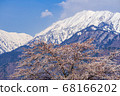 [長野縣]北雪阿爾卑斯山和櫻花大町市 68166202