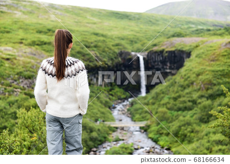 Iceland. Woman hiking looking at Svartifoss waterfall. Female is visiting famous tourist attraction of Iceland. Spectacular natural landmark on vacation in Skaftafell. Icelandic nature landscape 68166634