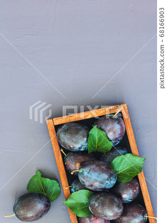 Freash plums in wooden box on wood table top view 68166903