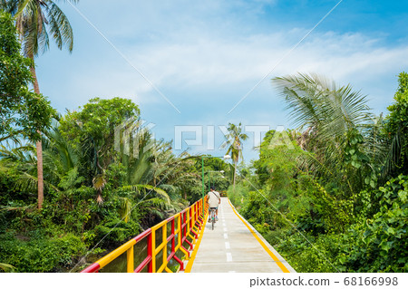 Cycling in Bang Krachao, known as the Green Lung of Bangkok. A young man cycles along the pathway surrounded by lush tropical vegetation. 68166998