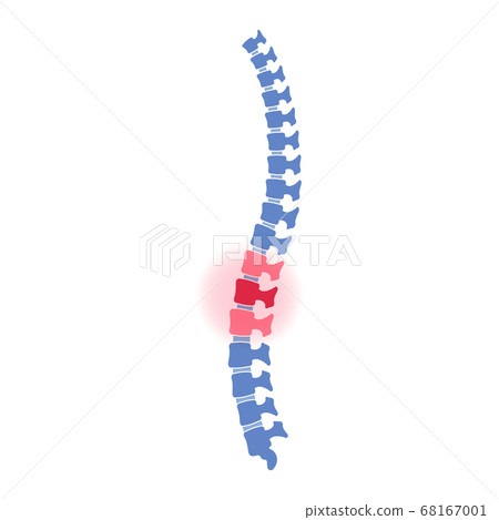 spine silhouette vector