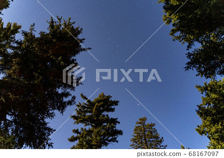 Looking up the starry sky in the forest at Duck Looking up the starry sky in the forest at Duck 68167097