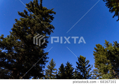 Looking up the starry sky in the forest at Duck Looking up the starry sky in the forest at Duck 68167101