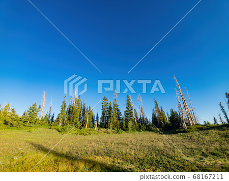 Beautiful landscape saw from Chessman Ridge Beautiful landscape saw from Chessman Ridge 68167211