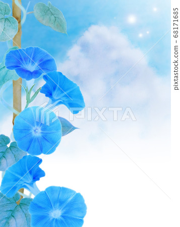 Potted morning glory, blue sky and Irudo cloud light blue 68171685