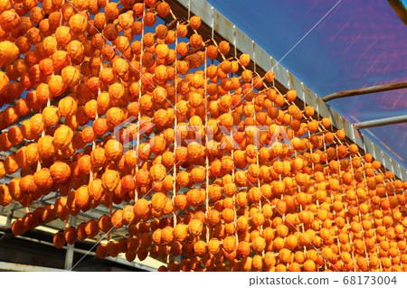 Kushigaki no Sato, Katsuragi Town, Wakayama Prefecture 68173004