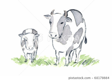 Cow parent and child 68178664