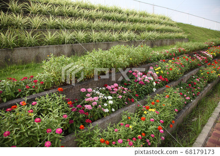 Three-dimensional flowerbed flowers, ornamental plants 68179173