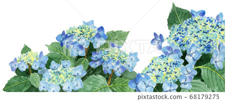 博客標題圖片淺藍色繡球花 68179275