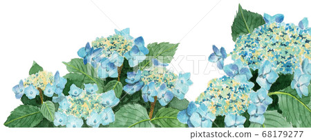 Blog header image Light blue hydrangea 68179277