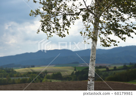 新榮岡天文台公園（北海道美瑛）的風景 68179981