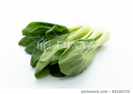 白菜 68180720