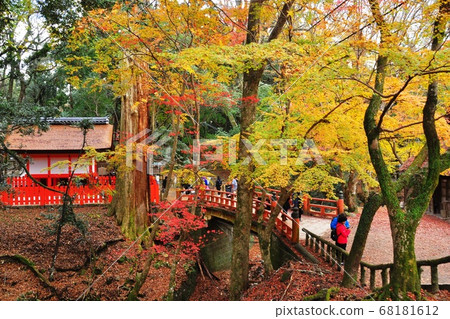 奈良公園奈良公園，水穀神社充滿活力的秋葉和水穀河岸 68181612