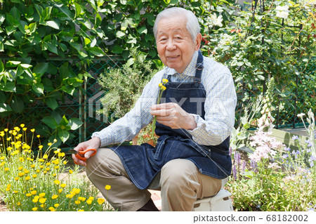 Senior with flowers (gardening) Senior with flowers (gardening) 68182002