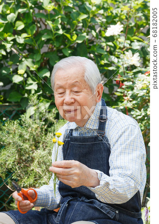 Senior with flowers (gardening) Senior with flowers (gardening) 68182005