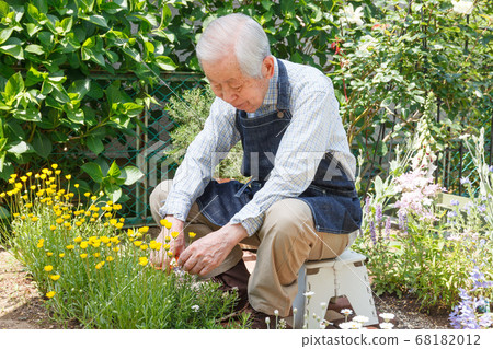 Senior with flowers (gardening) Senior with flowers (gardening) 68182012