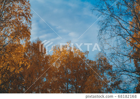 dry grass, scorched earth. Drought as a threat of forest fires. Autumn period, harvest time, preparation for winter dry grass, scorched earth. Drought as a threat of forest fires. Autumn period, harvest time, preparation for winter 68182168