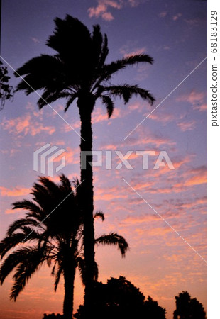 The three great pyramids of Egyptian Cairo 68183129