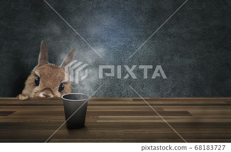 Vintage concrete background with staring rabbit animal graphics 68183727