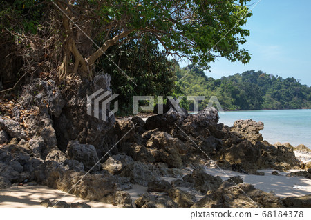 sea, rock, coast 68184378