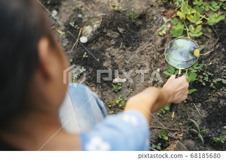 Girl examining little plant on dirt with Girl examining little plant on dirt with 68185680