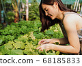 Young farmer. 68185833