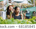 Two sister in organic farm. agriculture concept. 68185845