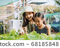 Two sister in organic farm. agriculture concept. 68185848