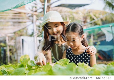 Two sister in organic farm. agriculture concept. 68185848