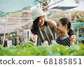 Acitivity at organic farm. 68185851
