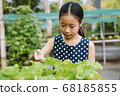 Organic farm and young woman. 68185855
