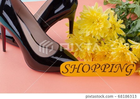 Female shopping concept. 68186313