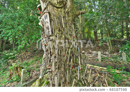 [Nyushuden Shrine（Kamahachimangu）]和歌山縣伊藤郡葛城町三谷 68187598