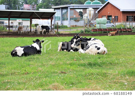 大農場的風景 68188149