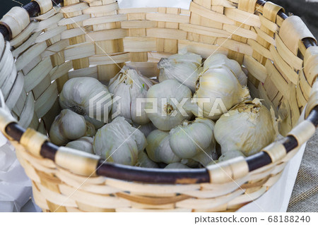 basket of garlic heads ready for sale at a rural market basket of garlic heads ready for sale at a rural market 68188240