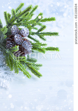 branch of the Christmas tree sheltered snow branch of the Christmas tree sheltered snow 68188604