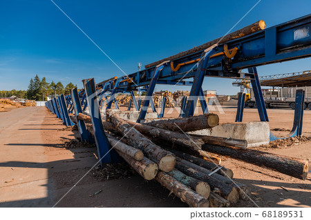 Round timber logs preparation sorting processing at sawmill. Wheel loader and automatic sorting logs diameter at the sawmill. Lumber industry. 68189531
