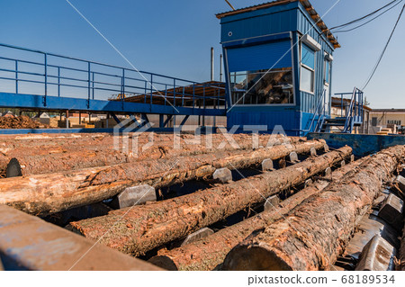 Round timber logs preparation sorting processing at sawmill. Wheel loader and automatic sorting logs diameter at the sawmill. Lumber industry. 68189534
