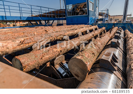Automated log sorting line. Production of timber from wood. Woodworking. Machining logs. The logs in the sawmill are moving along a conveyor belt Automated log sorting line. Production of timber from wood. Woodworking. Machining logs. The logs in the sawmill are moving along a conveyor belt 68189535