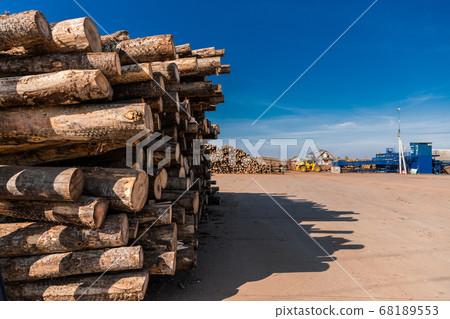 Tree wooden logs. Wood storage for industry. Felled tree trunks. Panorama of firewood cut tree trunk logs stacked prepared. Deforestation for Industrial production. Tree wooden logs. Wood storage for industry. Felled tree trunks. Panorama of firewood cut tree trunk logs stacked prepared. Deforestation for Industrial production. 68189553