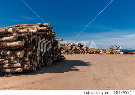 Woodworking factory. Tree wooden logs. Wood storage for industry. Felled tree trunks. Panorama of firewood cut tree trunk logs stacked prepared. Deforestation for Industrial production. 68189554